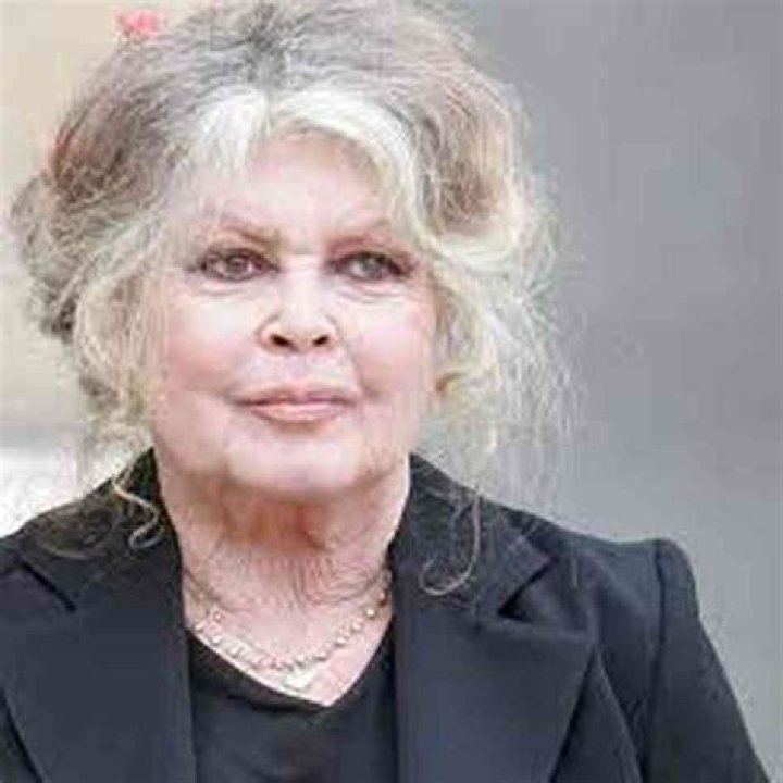 Brigitte Bardot Net Worth 2022 Wiki Bio, Married, Dating, Family