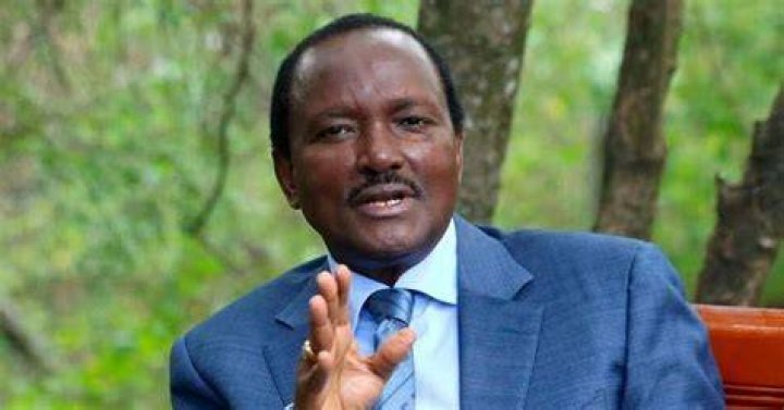 Kalonzo Musyoka Biography, age, tribe, education, career, wife